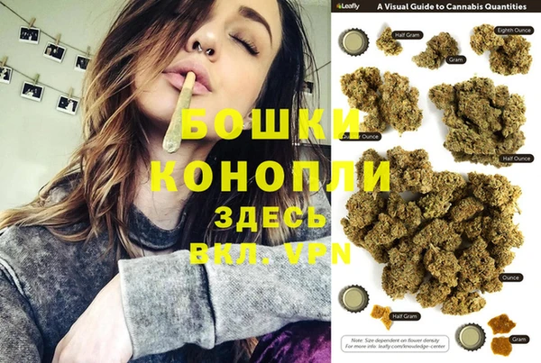 ГАЛЛЮЦИНОГЕННЫЕ ГРИБЫ Алексин