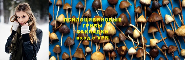 гашик Алексеевка
