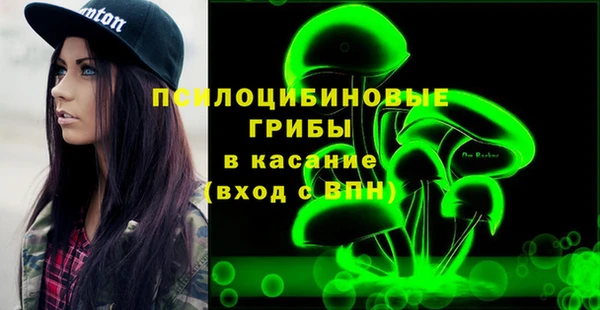 гашик Алексеевка