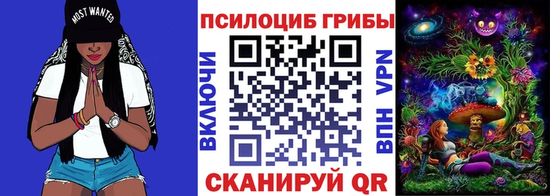 Псилоцибиновые грибы Cubensis Ртищево