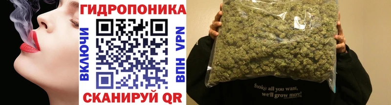 Бошки Шишки VHQ  Ртищево 